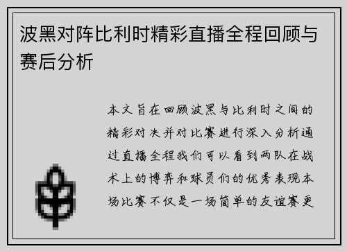 波黑对阵比利时精彩直播全程回顾与赛后分析